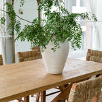sustainable solid wood dining table and seagrass chairs in a dining room light and bright setting